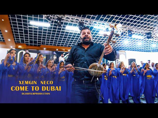 Xemgin Neco | Agir Delilo | COME TO DUBAI | Mix 2024 | Kurdische Hochzeit | #DliarFilmProduction