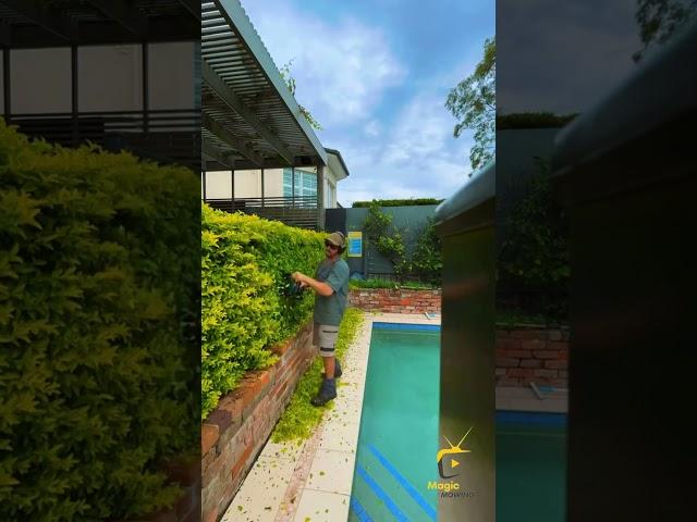 Satisfying Lawn Mowing Transformation! #LawnMowing #SatisfyingVideo  #BeforeAndAfter #LawnCare