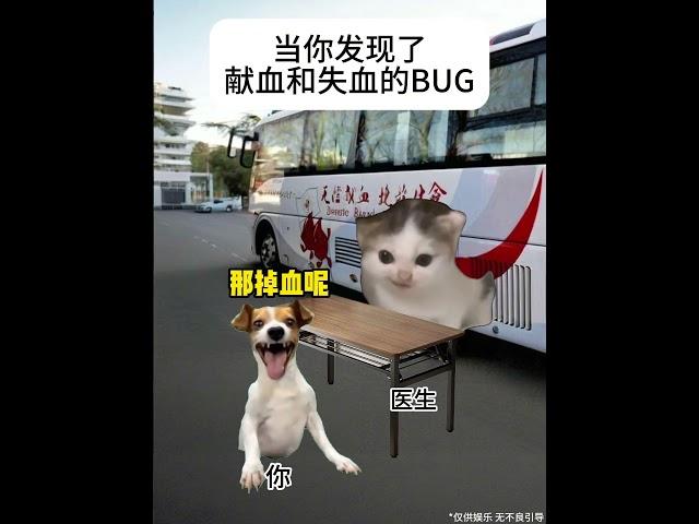 当你发现了献血和失血的BUG  #猫meme #funny #喵哥是萌新  #meme #搞笑 #人類迷惑行為  #猫meme小剧场 #cat #meme猫  #pets #献血