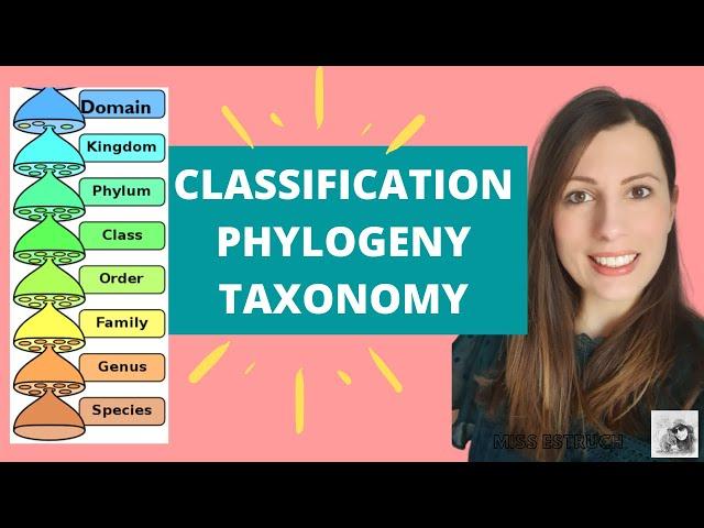 Classification of species, taxonomy, phylogenetic classification and binomial system for A-Level Bio