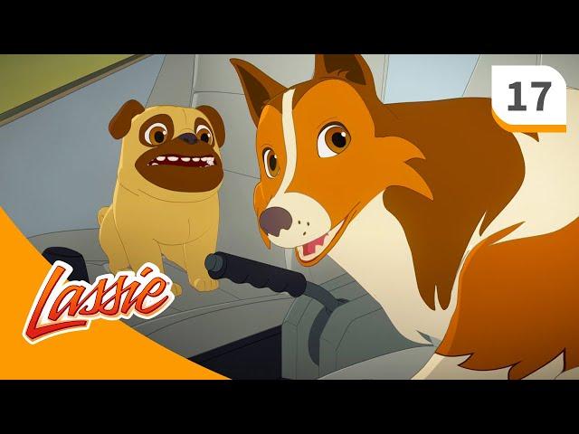 Lassie - Season 2 - Episode 17 - The Epidemic - FULL EPISODE