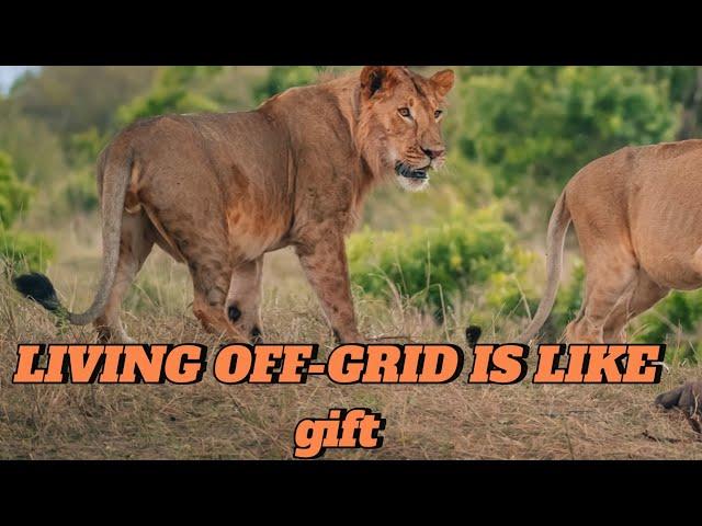 "Living Off-Grid: A Life-Changing Gift of Freedom"