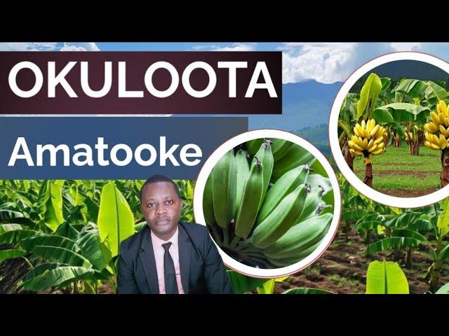 Okuloota amatooke no lusuku kitegezakki by Brother Steven