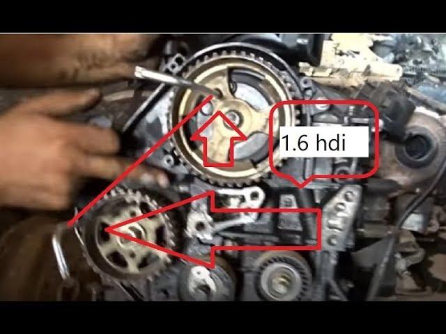 calage distribution moteur 1.6 hdi - محرك ديزل تركيب كاتينة@mecaniquemokhtartunsie