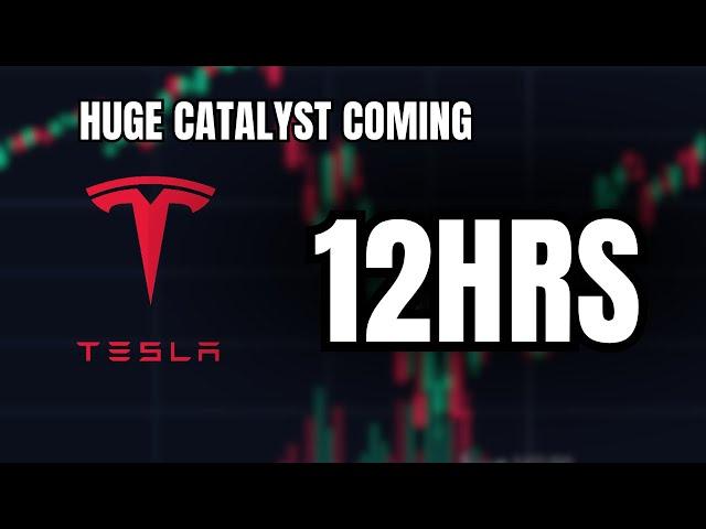 *WATCH BEFORE TOMORROW MORNING* (Tesla Stock Investors)