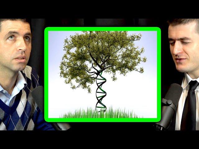 Genetics vs environment as causes of disease | Manolis Kellis and Lex Fridman