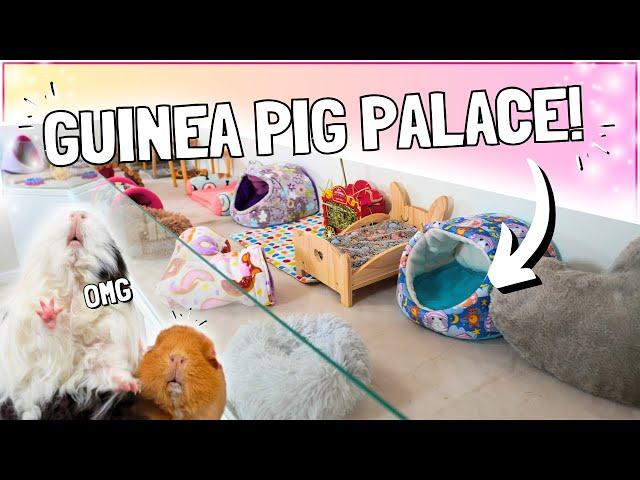 Building the ULTIMATE Guinea Pig Cage! 