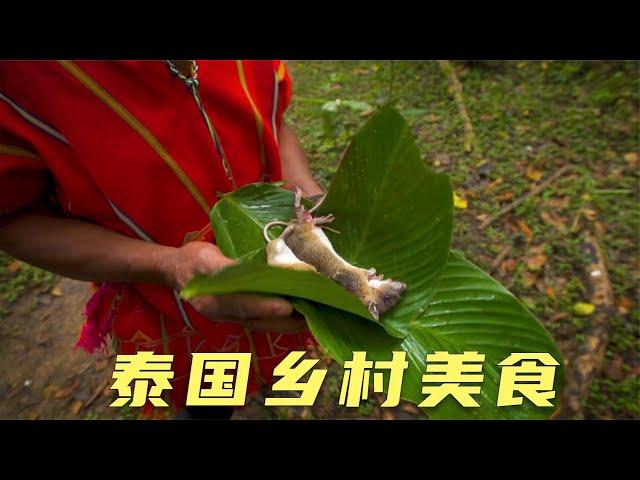 泰国乡村美食，抓田鼠款待客人，用乐器引出甲虫炸着吃，纪录片