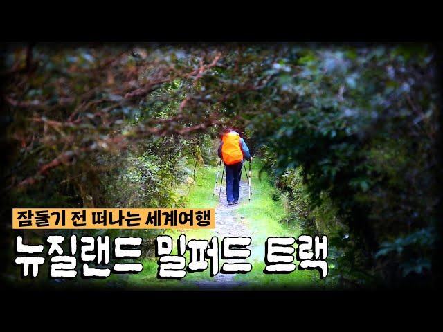 [잠들기 전 떠나는 세계여행] 지구 반대편에 있는 뉴질랜드로 트레킹을 떠나다?! (KBS 방송)