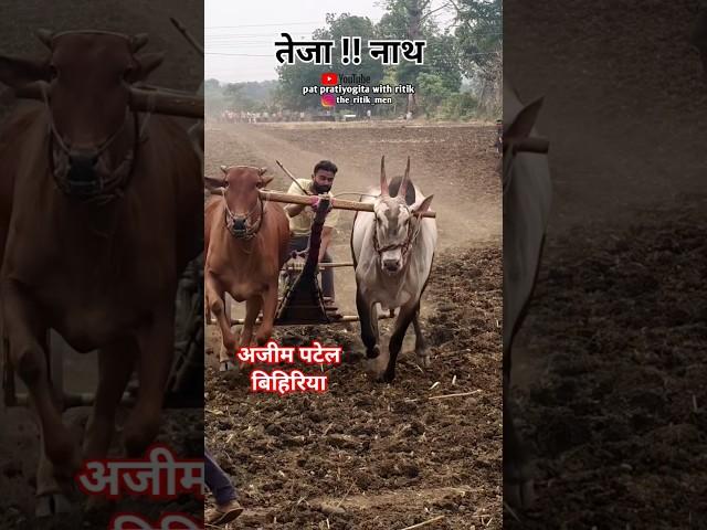 Teja Nath Azim Patel Bihiria Dungaria Group ️ Pat Pratiyogita with Ritik  #DJ #Remix #Song