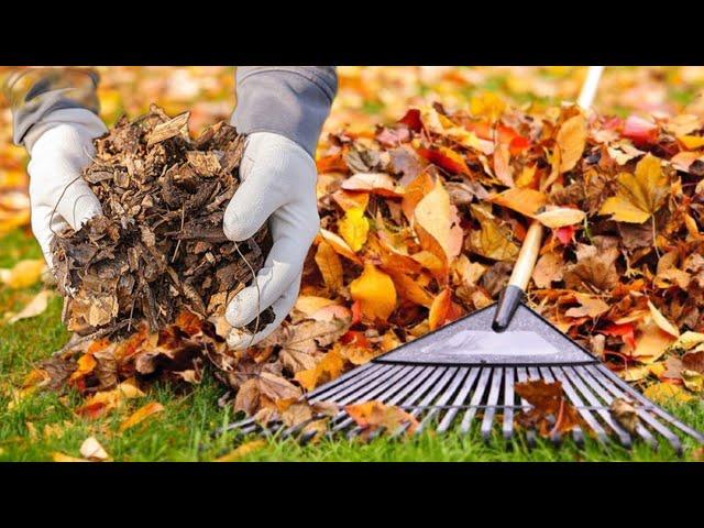 I never throw leaves! I use it this way - it does wonders for the plants!