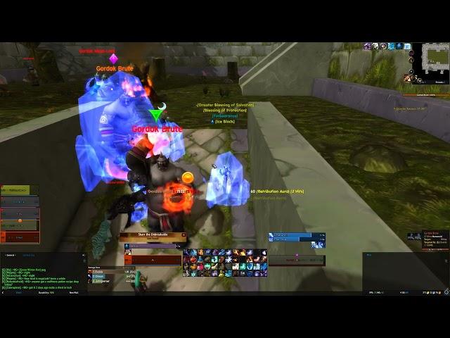 Lvl 60 Mage Death - Classic Era Hardcore WoW