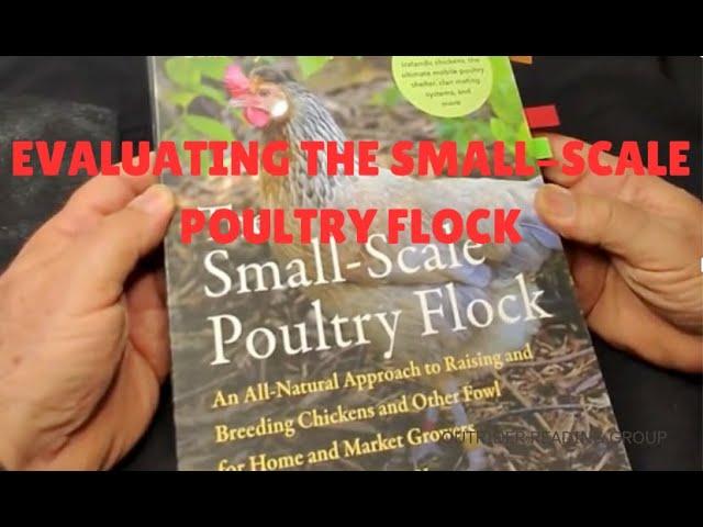 Evauating The Small Scale Poultry Flock   by Harvey Ussery #farmsteading #poultry #homesteading