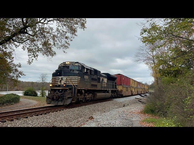 Solo NS SD70ACe 1059 w/ Nice Crew Leads Fast Trash 12T on 11/15/24