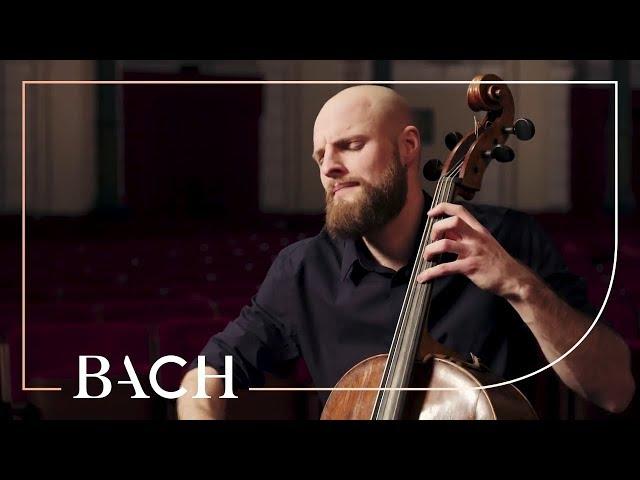 Bach - Cello Suite no. 2 in D minor BWV 1008 - Pincombe | Netherlands Bach Society