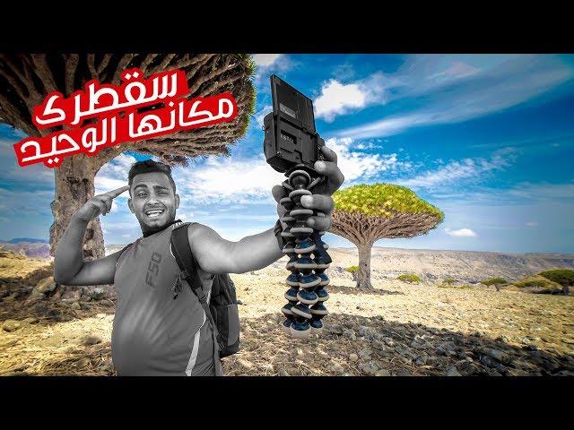 شجرة دم الأخوين أغرب شجرة على وجة الأرض | من سقطرى