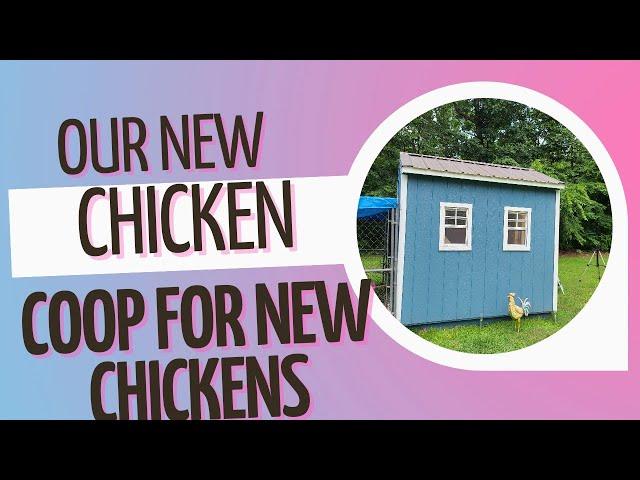 NEW CHICKEN COOP |  TIPS on how to do this