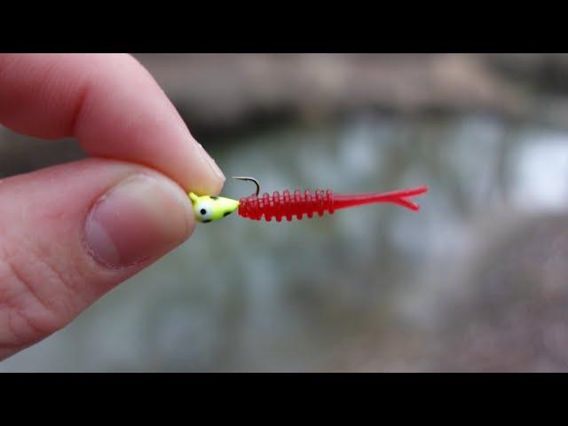 This TINY Creek was LOADED with Fish! (Winter Fishing)