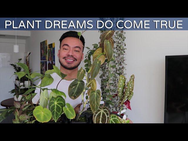 Houseplant Haul | Rare Plant Collection