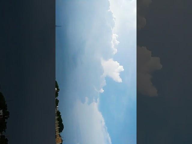 #beautiful #clouds #flower#ytshorts #shorts #Pragya Sharma Art and drawings 