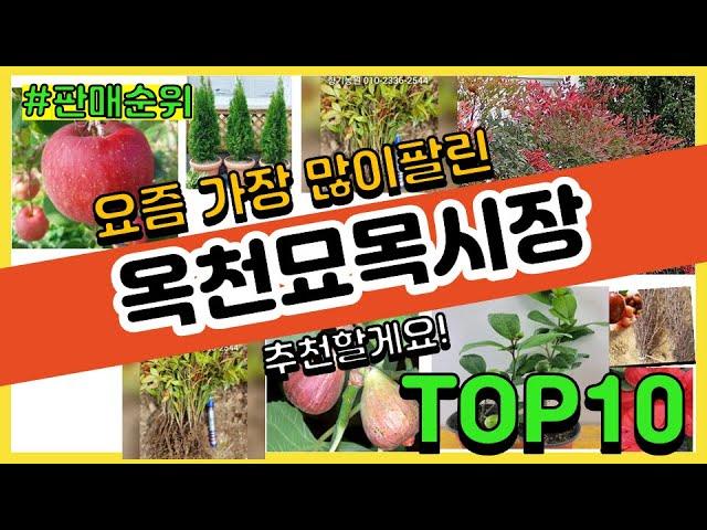 옥천묘목시장 추천 판매순위 Top10 || 가격 평점 후기 비교