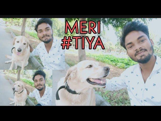 MERI TIYA RANI | WORLD BEST DOG | TIYA RANI |DELHI RVK | MITHUN HANSRAJ