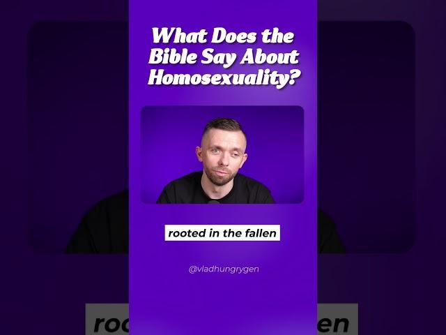 What does the Bible say about Homosexuality? ️‍