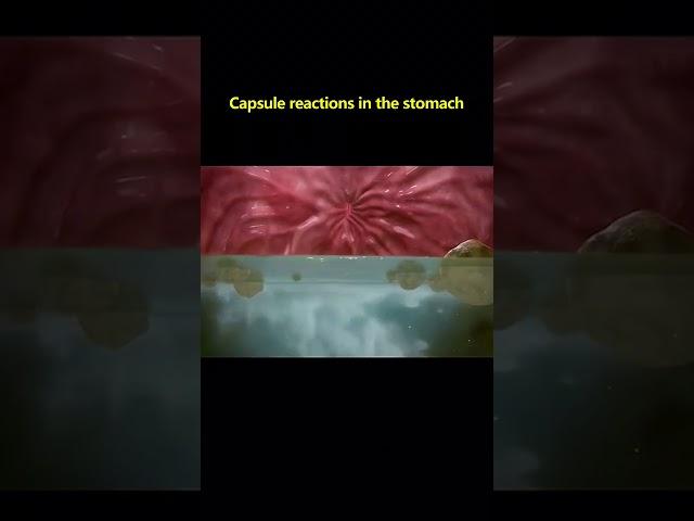 How works #shorts #fyp #amazing #perfect #working #capsule #medical #fact #knowledge #education