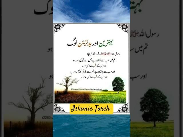 Islamic Torch: Behtreen Log aur Buray Log Hadith  #shorts