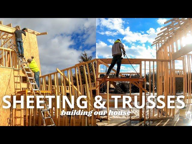 SHEETING the Second Story OF OUR HOUSE | SETTING MORE TRUSSES