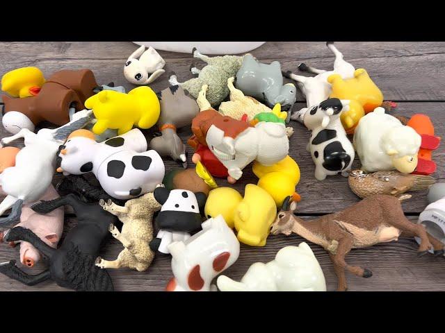 Farm Animal Toys Reviewed Video