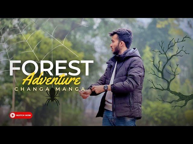 Changa Manga Forest Adventure | Night in Forest