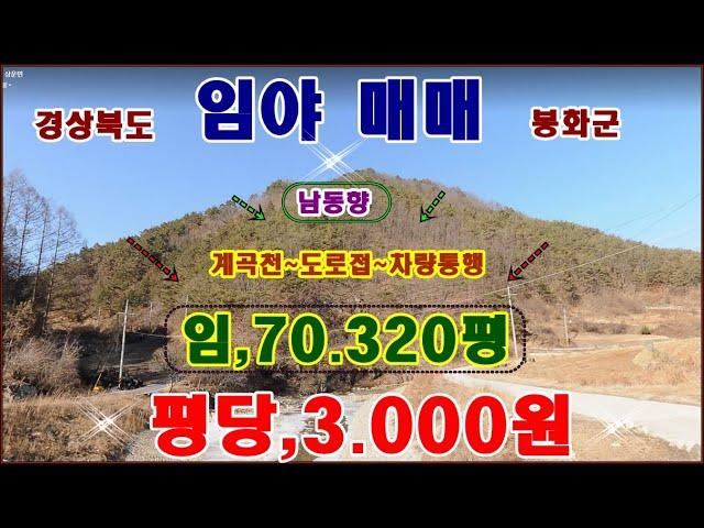 물번,455번) 임야,70.320평 계획,농림.생산관리.평당,3.000원  도로접,전기, 차량통행됩니다 아스콘포장도로 남동향, 앞에는 넓은 토일천~ 홍수관리구역,매가,2억1.090