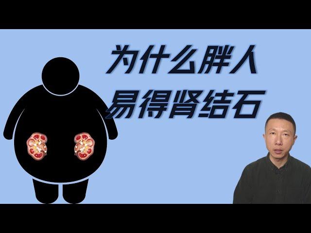 Why are obese individuals more prone to kidney stones?