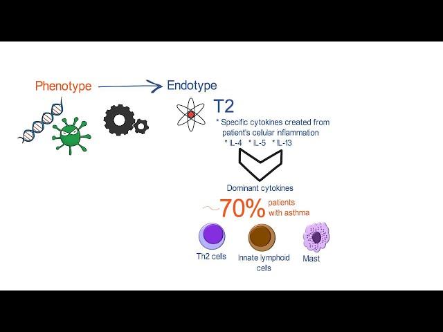 New Concepts in the Pathobiology of Asthma