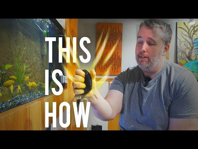 How to Properly Clean a Sponge Filter (Detailed Version)