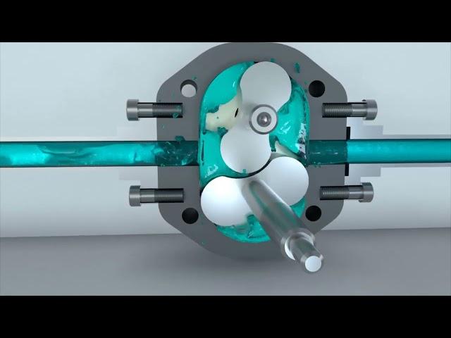 How A Rotary Lobe Pump Works