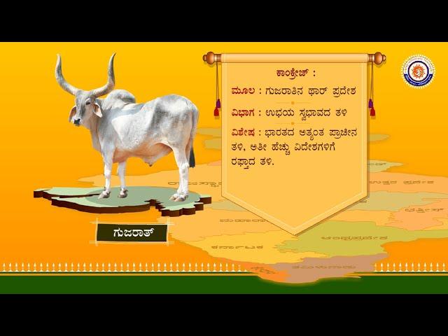 Indian Indigenous Cow Breeds