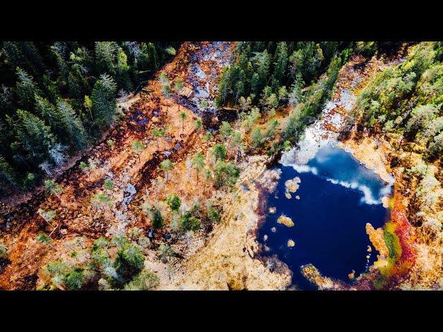 Restaurering av myr i naturreservat