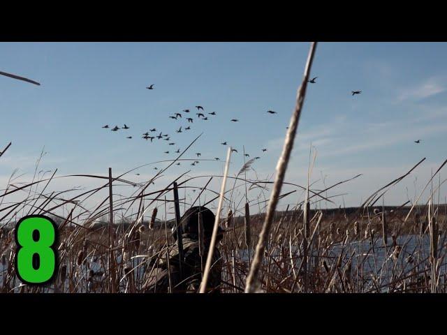 Awesome Afternoon Hunt (Pintails EVERYWHERE!!) Public Land Duck Hunting