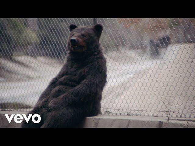 Grizfolk - The Struggle (Official Video)