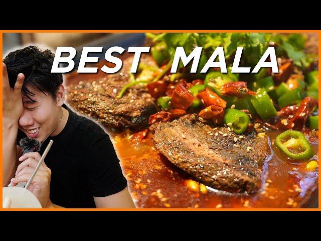 Green On Earth 绿之天地 | The Best Mala 麻辣 Ep 8