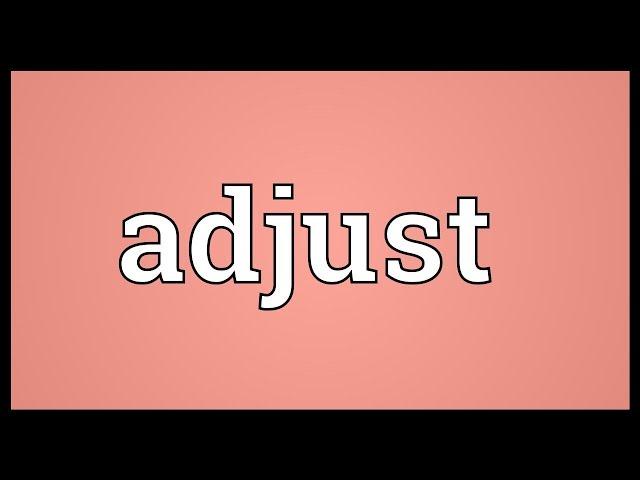 Adjust Meaning