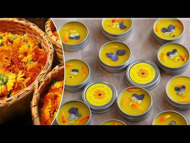 Making Calendula Salve with Deb Soule