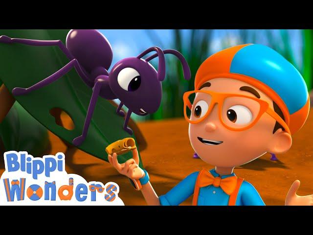 Blippi meets Anita the Ant ! | Blippi Wonders Educational Videos for Kids