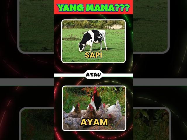 Guessing Part #8 #education #quiz #guesspicture #animal #fruit #flowers #facts