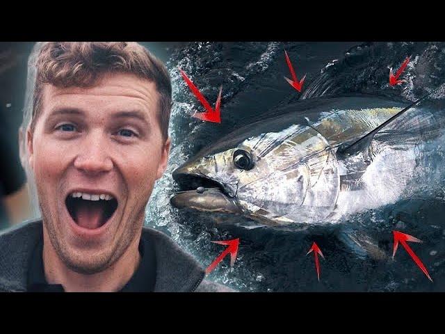 Catching Monster Tuna in England