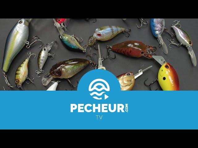 Quels leurres pour débuter la pêche des carnassiers ? Tutoriel Pecheur.com