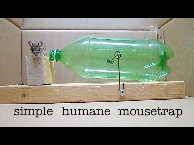 How to Make a ● Simple Catch and Release Bottle Mousetrap ( that works ! )