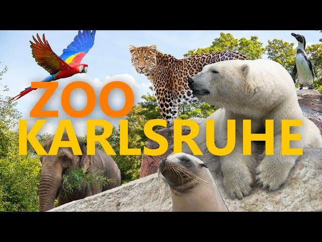 Zoologischer Stadtgarten Karlsruhe | Zoo-Eindruck